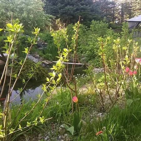 Zakatek Rum i privatbostad *