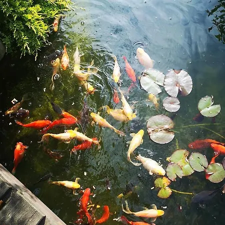 Zakatek Δωμάτια σε οικογενειακή κατοικία