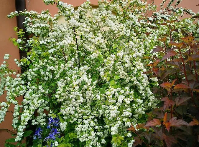 Zakatek בית אירוח *