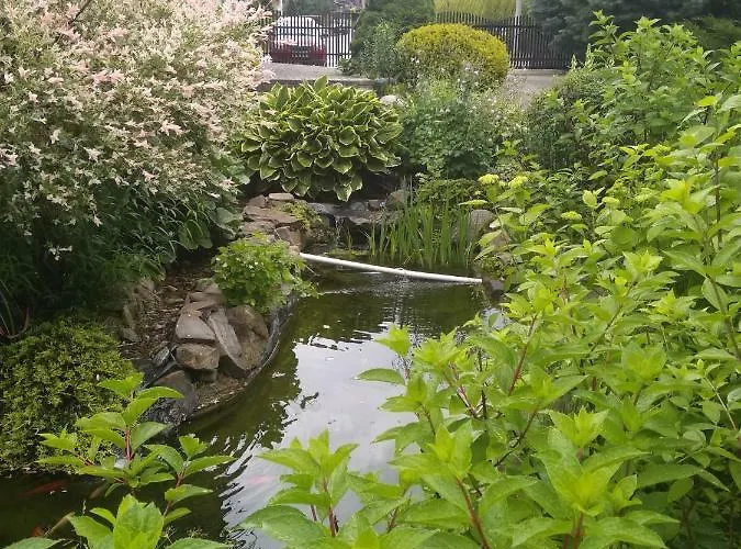 Zakatek בית אירוח *